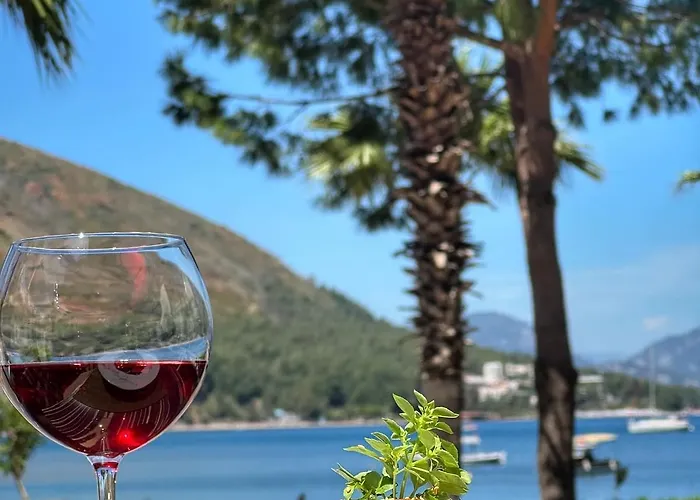 Ξενοδοχείο Chateau De 3*